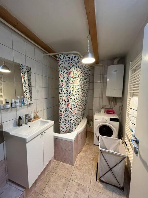 Art / Peaceful / Historical City Center Apartment ザグレブ エクステリア 写真